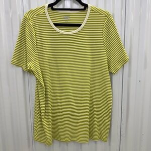 Lands' End Green and White Striped Tee